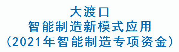 大渡口智能制造新模式应用(2021年智能制造专项资金)(图1)