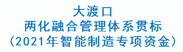 大渡口两化融合管理体系贯标(2021年智能制造专项资金)(图1)