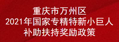 重庆市万州区2021年国家专精特新小巨人补助扶持奖励政策(图1)