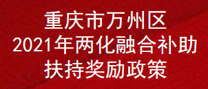 重庆市万州区2021年两化融合补助扶持奖励政策(图1)