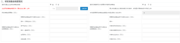 重庆市2021年度研发准备金备案申报通知(图11)